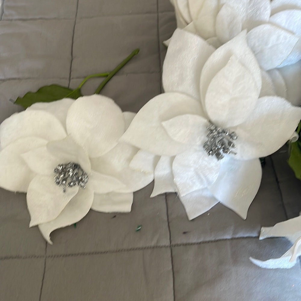 White poinsettia used for Christmas ornaments.